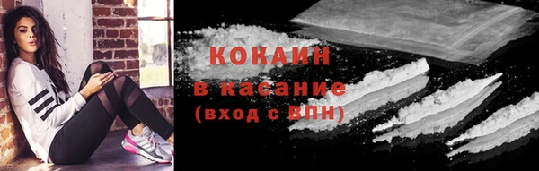 ешки Алексин