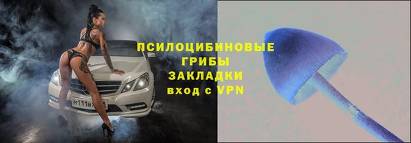 ешки Алексин