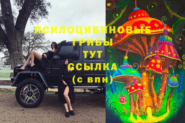 ECSTASY Армянск