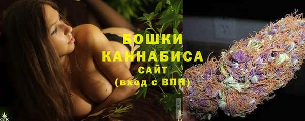 ECSTASY Армянск